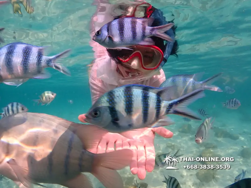 Underwater Odyssey snorkeling tour from Pattaya Thailand photo 14347