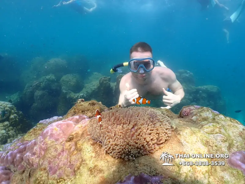 Underwater Odyssey snorkeling excursion Pattaya Thailand photo 11548