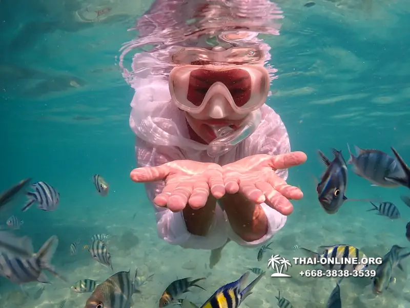 Underwater Odyssey snorkeling tour from Pattaya Thailand photo 14491