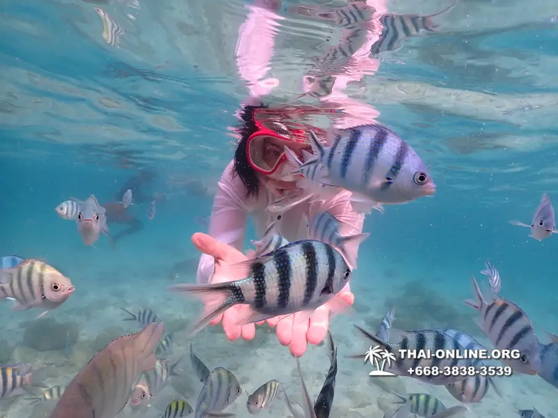 Underwater Odyssey snorkeling tour from Pattaya Thailand photo 14371