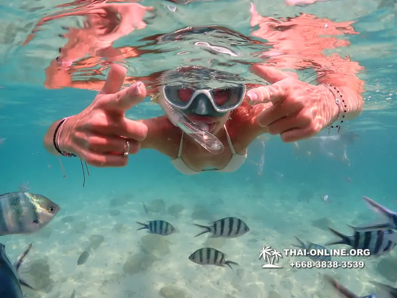 Underwater Odyssey snorkeling tour from Pattaya Thailand photo 14359