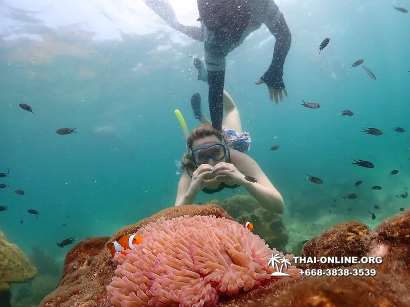 Underwater Odyssey snorkeling tour from Pattaya Thailand photo 18302