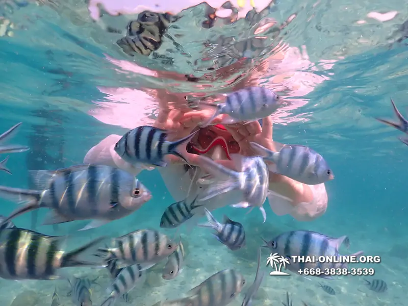 Underwater Odyssey snorkeling tour from Pattaya Thailand photo 14271