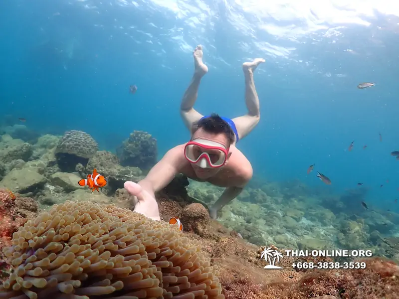 Underwater Odyssey snorkeling excursion Pattaya Thailand photo 11421