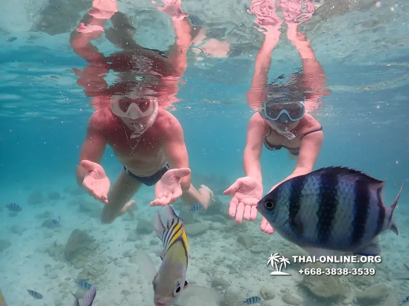 Underwater Odyssey snorkeling tour from Pattaya Thailand photo 14307