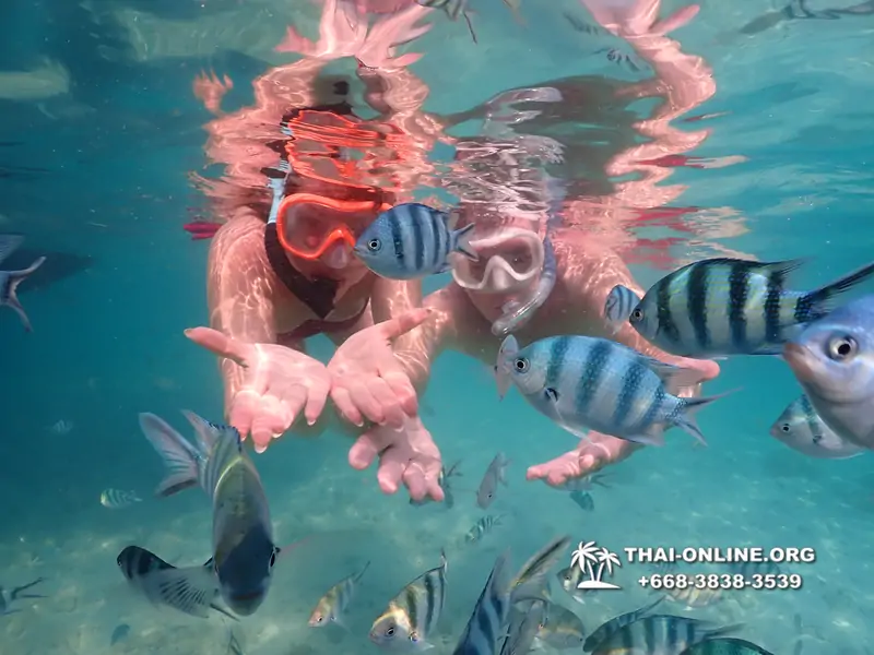 Underwater Odyssey snorkeling tour from Pattaya Thailand photo 14335
