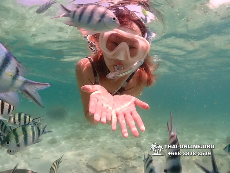 Underwater Odyssey snorkeling tour from Pattaya Thailand photo 18419