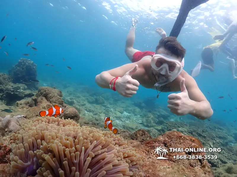 Underwater Odyssey snorkeling excursion Pattaya Thailand photo 11413