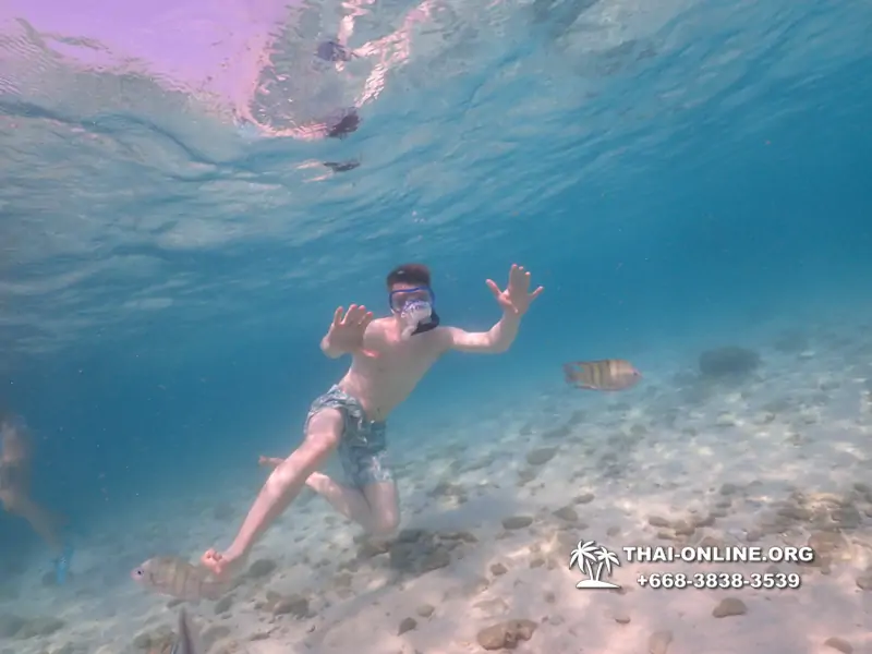 Underwater Odyssey snorkeling excursion Pattaya Thailand photo 11110