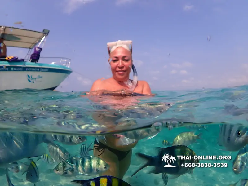 Underwater Odyssey snorkeling excursion Pattaya Thailand photo 11314