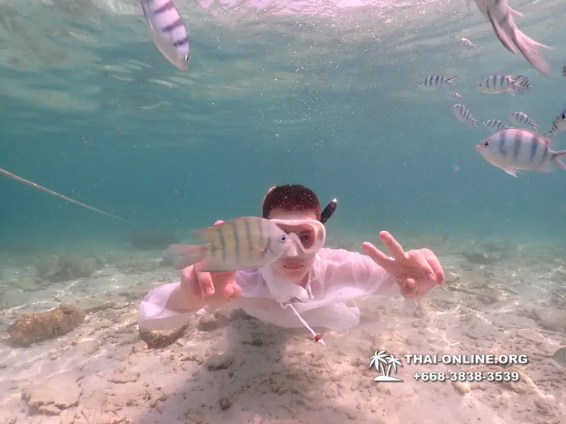 Underwater Odyssey snorkeling tour from Pattaya Thailand photo 18608
