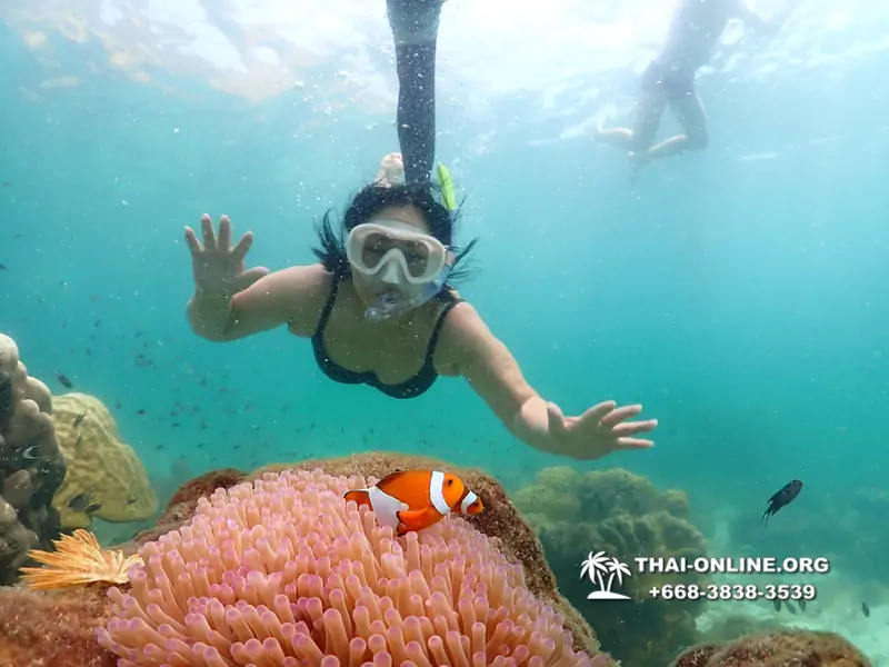 Underwater Odyssey snorkeling tour from Pattaya Thailand photo 18433