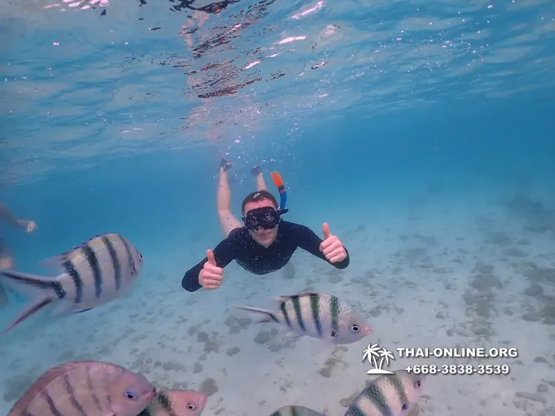 Underwater Odyssey snorkeling excursion Pattaya Thailand photo 11151