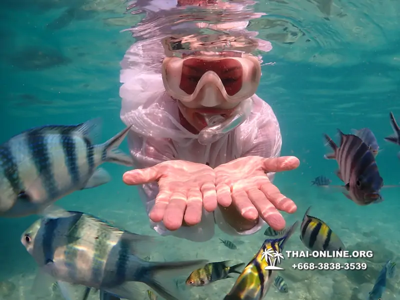 Underwater Odyssey snorkeling tour from Pattaya Thailand photo 14404