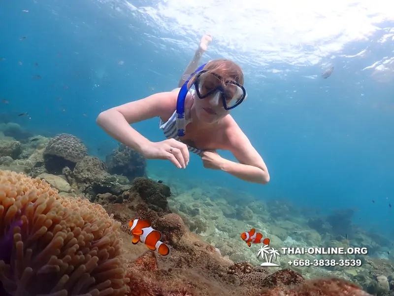 Underwater Odyssey snorkeling excursion Pattaya Thailand photo 11368