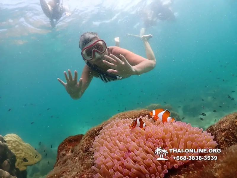 Underwater Odyssey snorkeling tour from Pattaya Thailand photo 18313