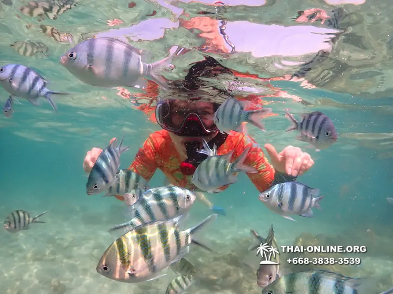 Underwater Odyssey snorkeling excursion Pattaya Thailand photo 14865