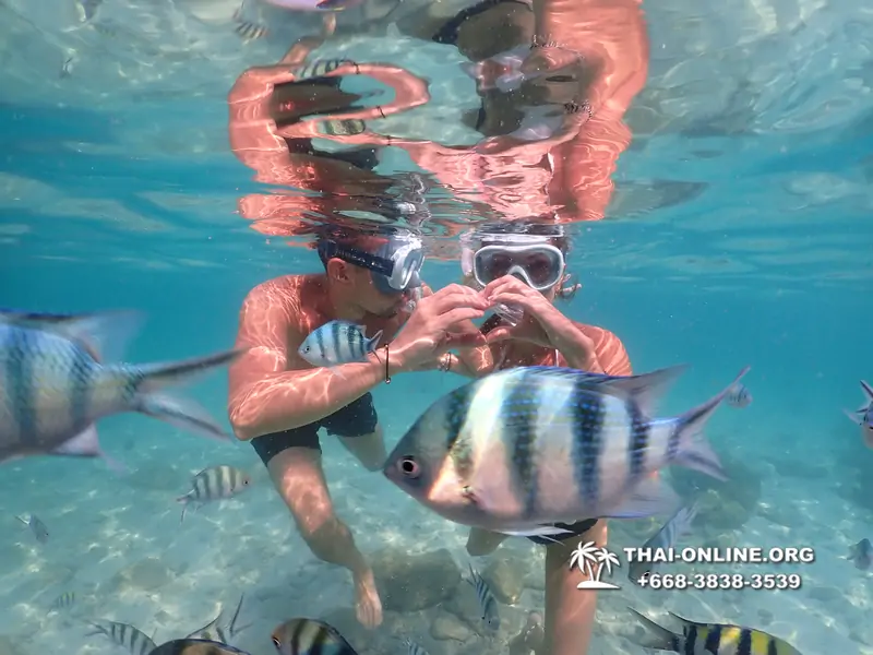 Underwater Odyssey snorkeling tour from Pattaya Thailand photo 14257