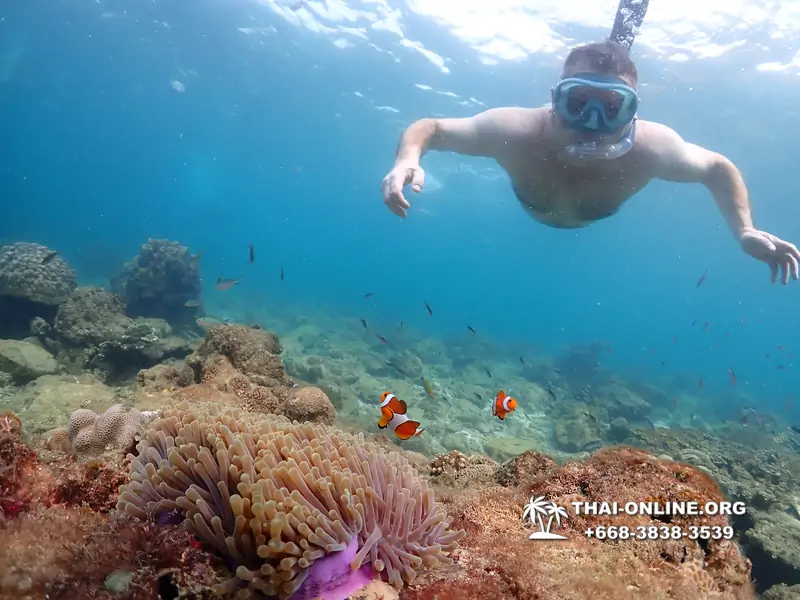 Underwater Odyssey snorkeling excursion Pattaya Thailand photo 11438