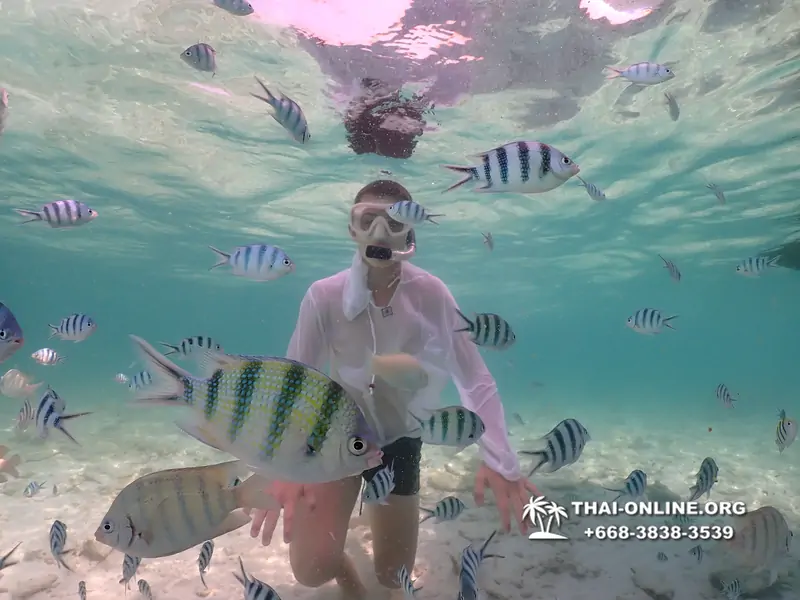 Underwater Odyssey snorkeling tour from Pattaya Thailand photo 18392