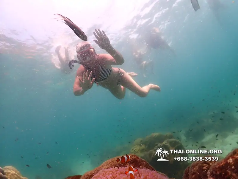 Underwater Odyssey snorkeling tour from Pattaya Thailand photo 18869