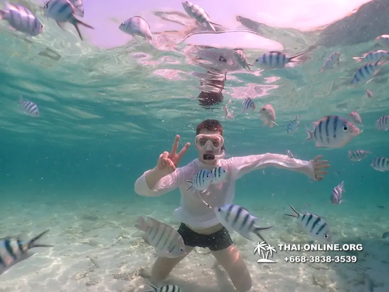 Underwater Odyssey snorkeling tour from Pattaya Thailand photo 18461