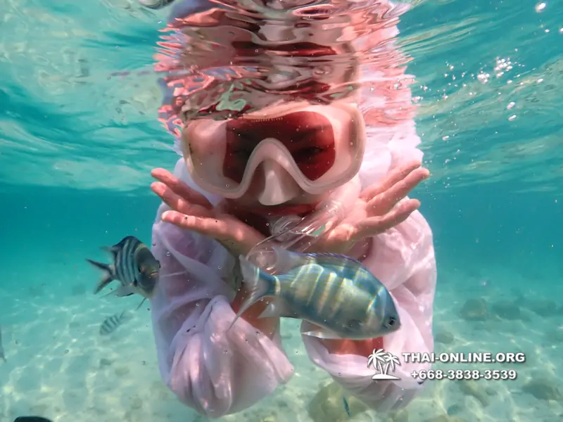 Underwater Odyssey snorkeling tour from Pattaya Thailand photo 14431