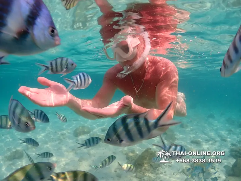 Underwater Odyssey snorkeling tour from Pattaya Thailand photo 14181