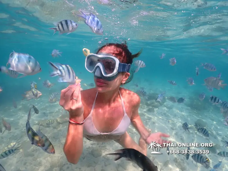 Underwater Odyssey snorkeling tour from Pattaya Thailand photo 14250