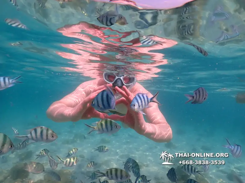 Underwater Odyssey snorkeling tour from Pattaya Thailand photo 14396