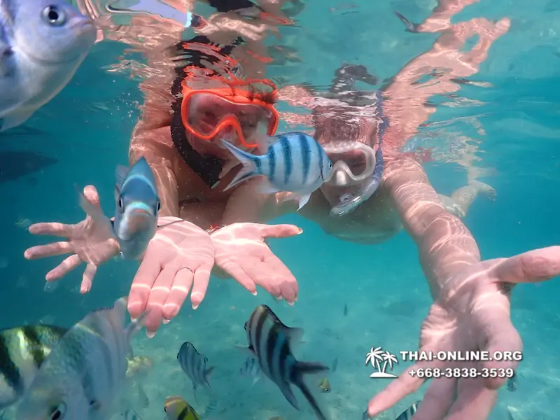 Underwater Odyssey snorkeling tour from Pattaya Thailand photo 14295