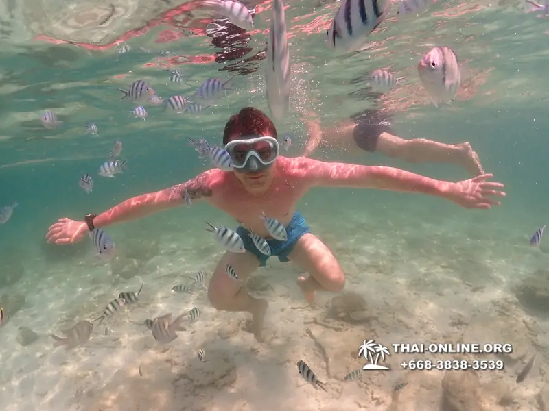 Underwater Odyssey snorkeling tour from Pattaya Thailand photo 18357