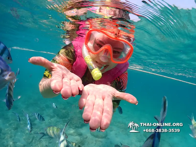 Underwater Odyssey snorkeling excursion Pattaya Thailand photo 11550