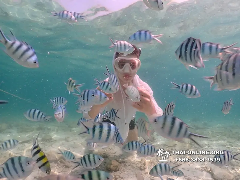 Underwater Odyssey snorkeling tour from Pattaya Thailand photo 18305