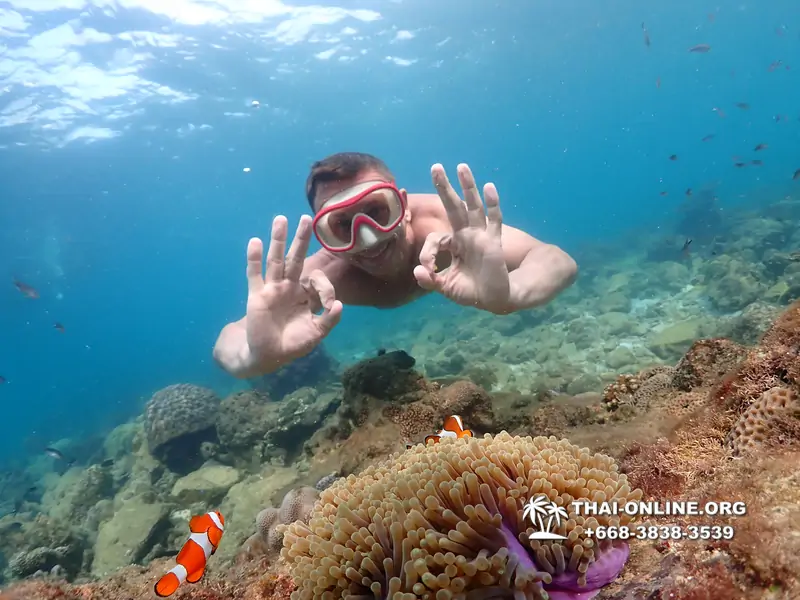 Underwater Odyssey snorkeling excursion Pattaya Thailand photo 11427