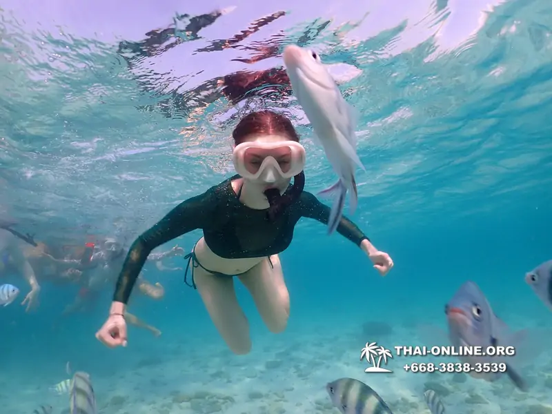 Underwater Odyssey snorkeling excursion Pattaya Thailand photo 11102