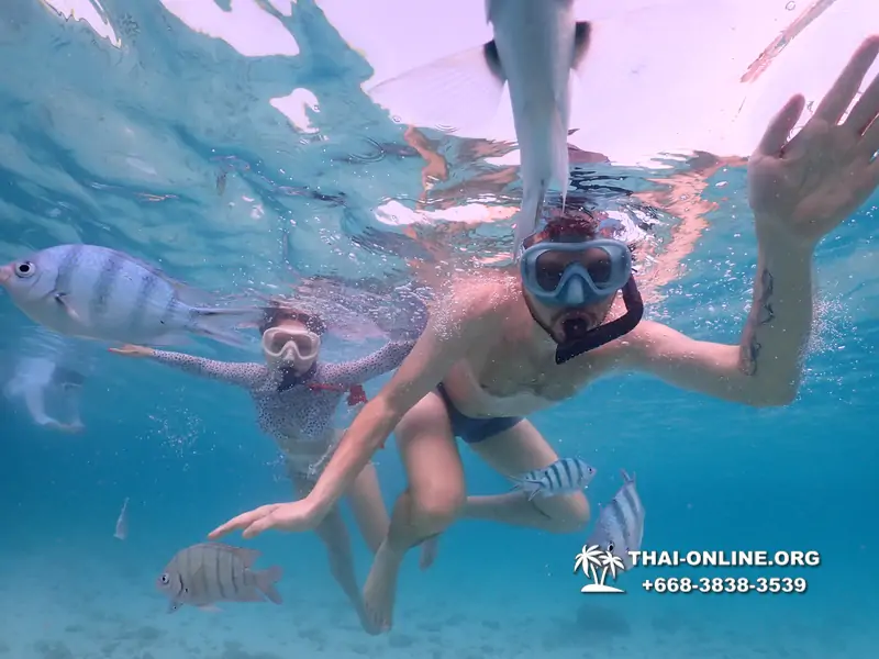 Underwater Odyssey snorkeling excursion Pattaya Thailand photo 11083
