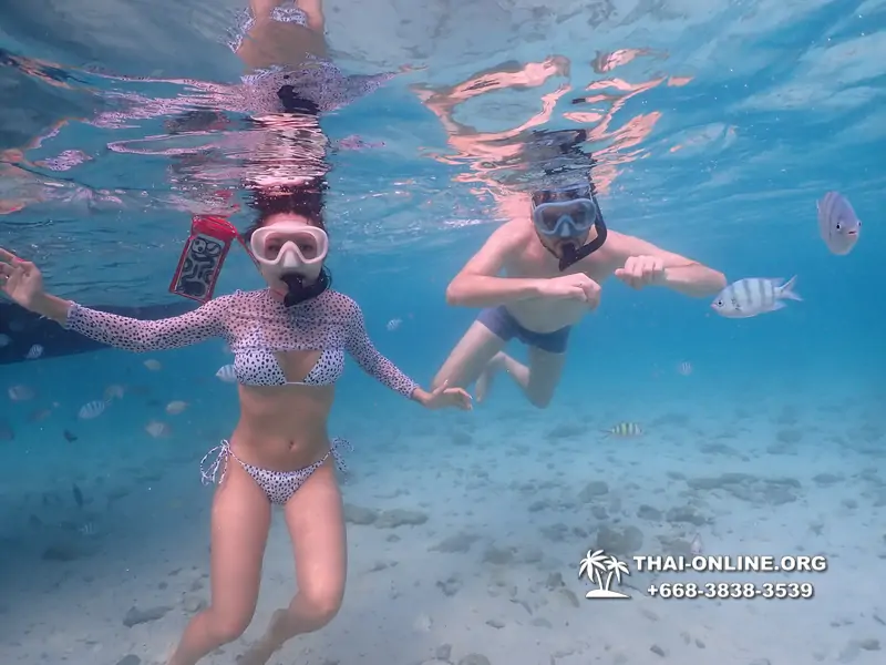 Underwater Odyssey snorkeling excursion Pattaya Thailand photo 11065