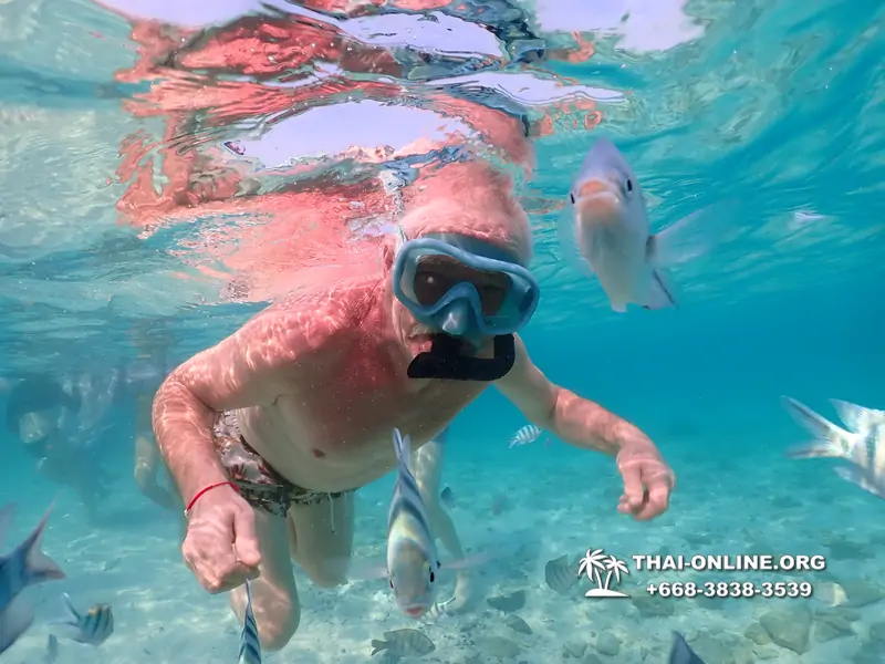 Underwater Odyssey snorkeling excursion Pattaya Thailand photo 11073