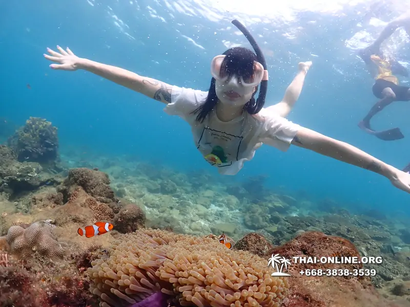 Underwater Odyssey snorkeling excursion Pattaya Thailand photo 11399