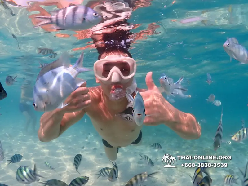 Underwater Odyssey snorkeling excursion Pattaya Thailand photo 11287