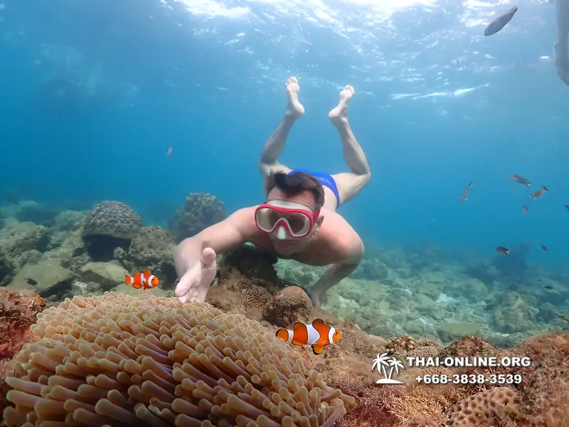 Underwater Odyssey snorkeling excursion Pattaya Thailand photo 11419