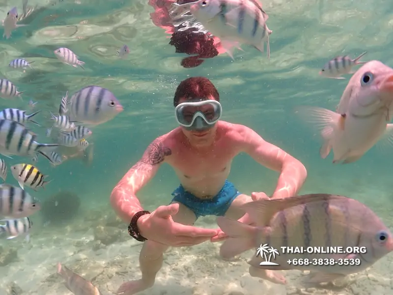 Underwater Odyssey snorkeling tour from Pattaya Thailand photo 18393