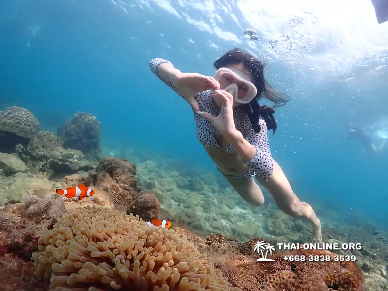 Underwater Odyssey snorkeling excursion Pattaya Thailand photo 11354