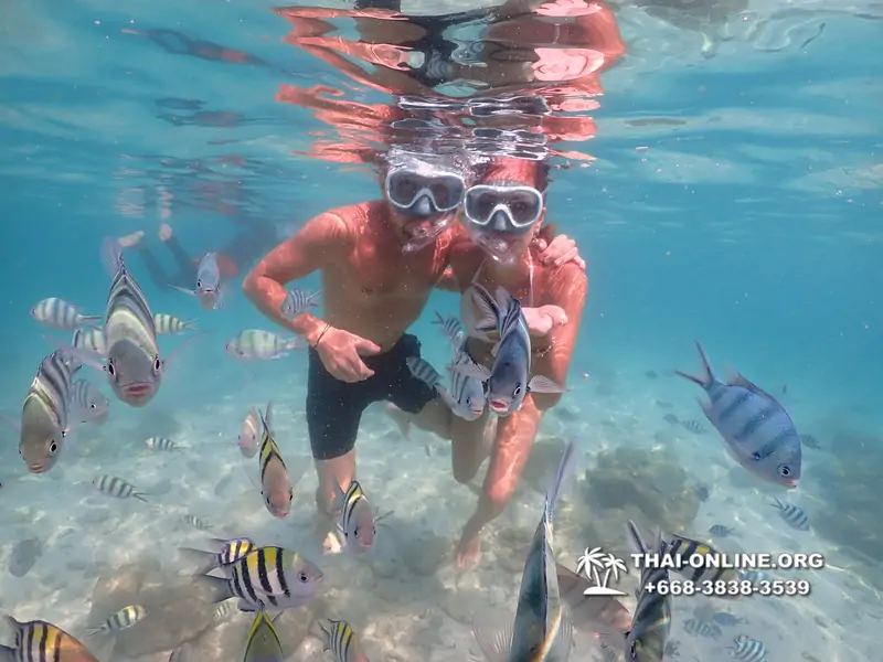 Underwater Odyssey snorkeling tour from Pattaya Thailand photo 14301