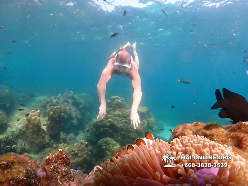Underwater Odyssey snorkeling tour from Pattaya Thailand photo 14357