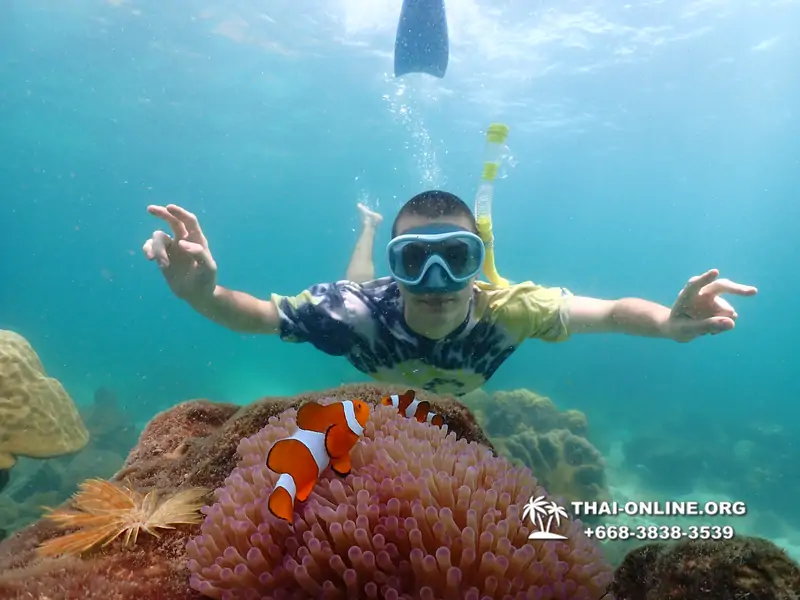 Underwater Odyssey snorkeling tour from Pattaya Thailand photo 18528