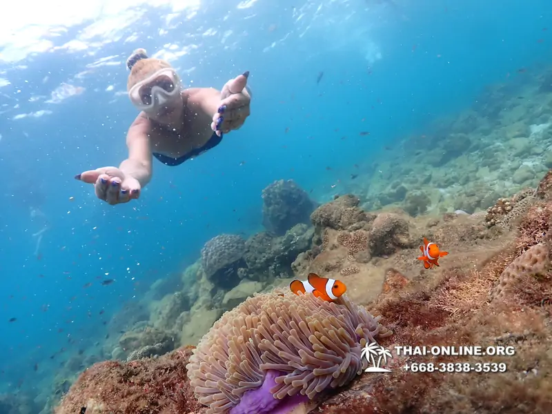 Underwater Odyssey snorkeling excursion Pattaya Thailand photo 11435