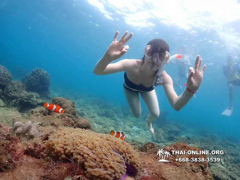 Underwater Odyssey snorkeling excursion Pattaya Thailand photo 11433
