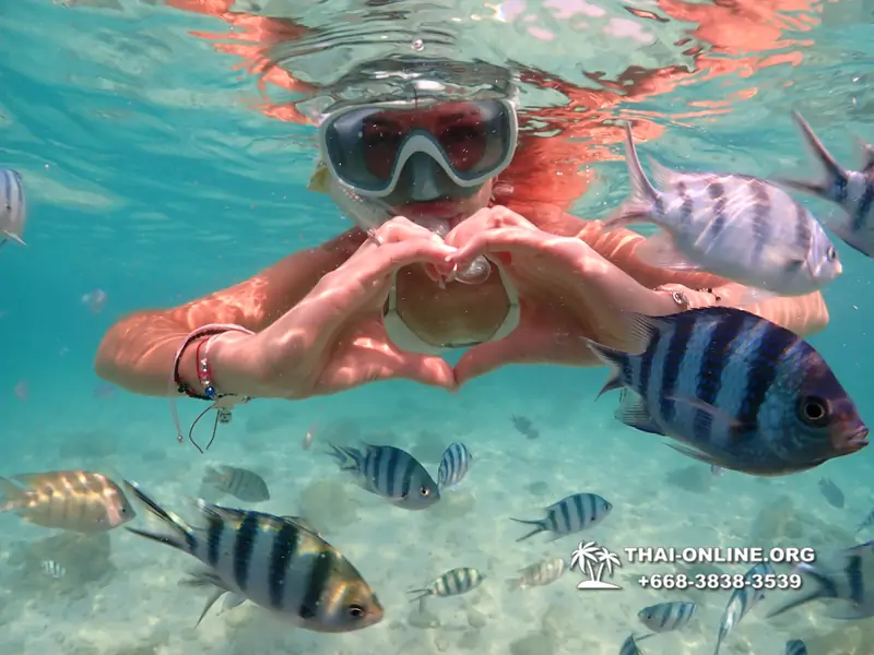 Underwater Odyssey snorkeling tour from Pattaya Thailand photo 14306